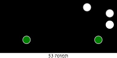 איור לשאלה 313 (תמונה 53)