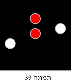 איור לשאלה 314 (תמונה 39)